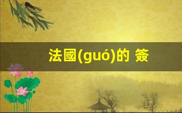 法國(guó)的 簽證(法國(guó)的簽證)